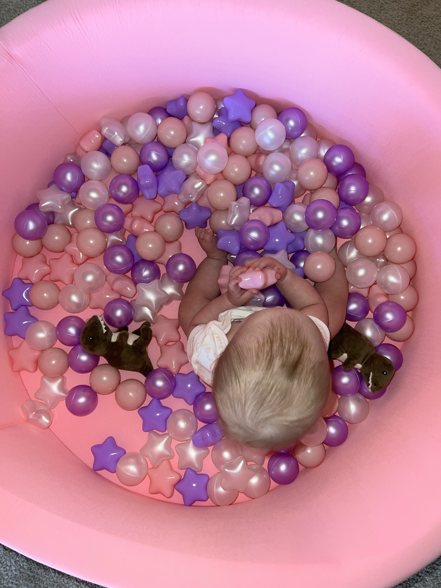 💗 Chloe’s new favorite toy is this ball pit! 

Chloe just turned eight months old and moving SO MUCH. She loves to use the ball pit as a safe place to stand up (and fall down 😅). The balls I got come in different packs. My plan is to order more as she grows so it will eventually be full. 

I found everything on Amazon! Except the trex plushies… those are actually from a dog toy Zero never used 🙈. Hehe from Chewy! 

#amazonfinds #kids #babytoys 

#LTKGiftGuide #LTKBaby #LTKmomlife