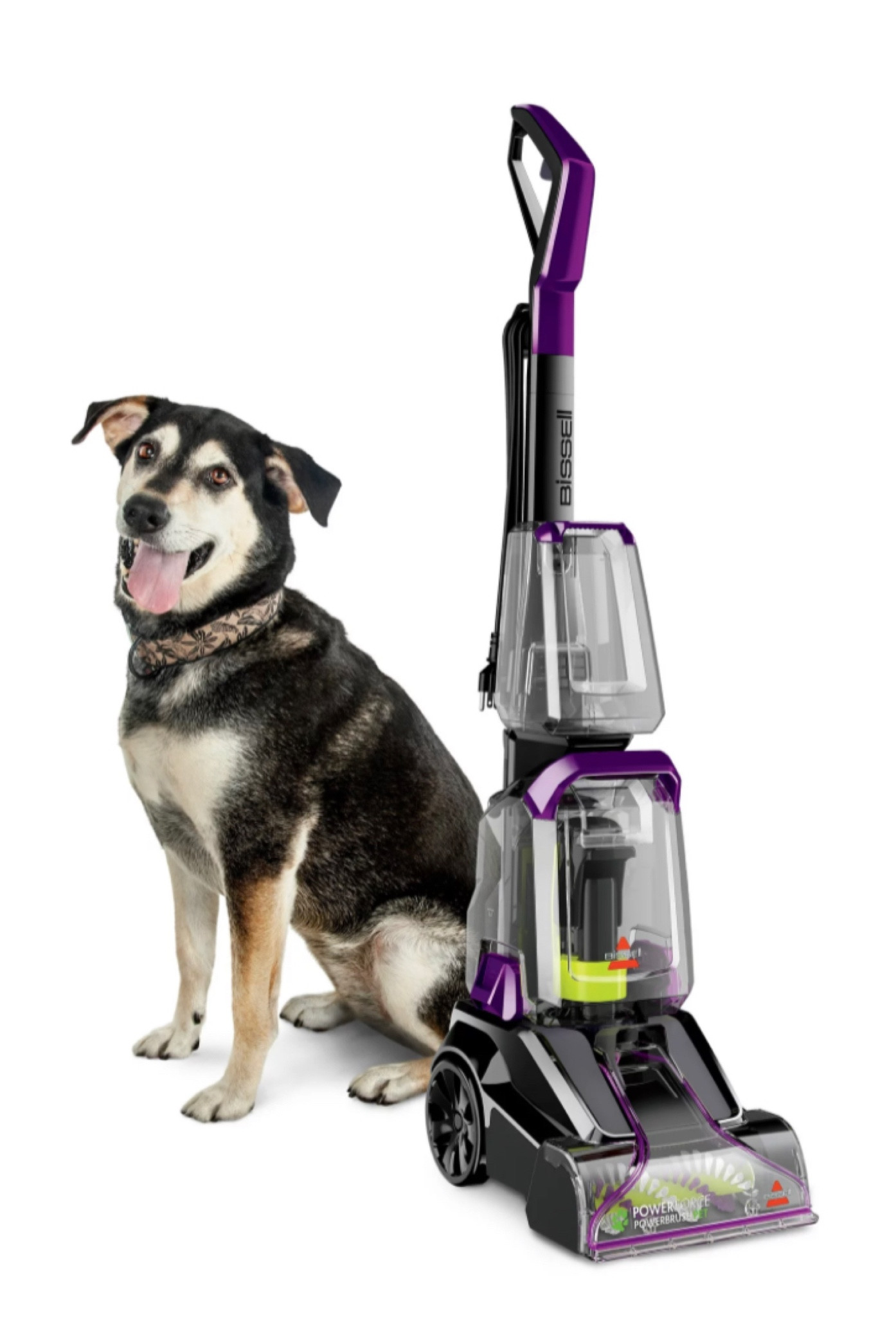 Vacuum carpet cleaning 