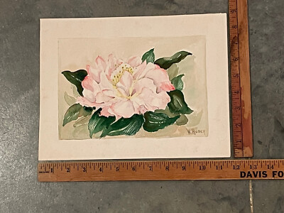Vintage Original W Huber Magnolia Watercolor Painting Signed | eBay US