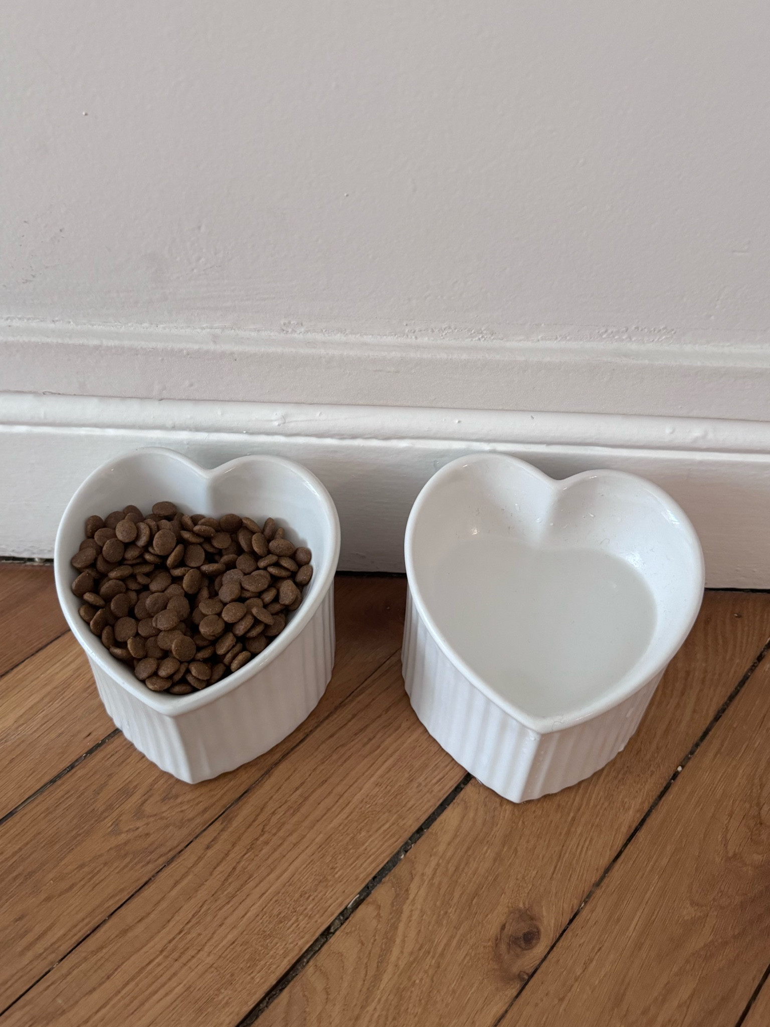 ❤️ for my baby dog ❤️

#LTKHome