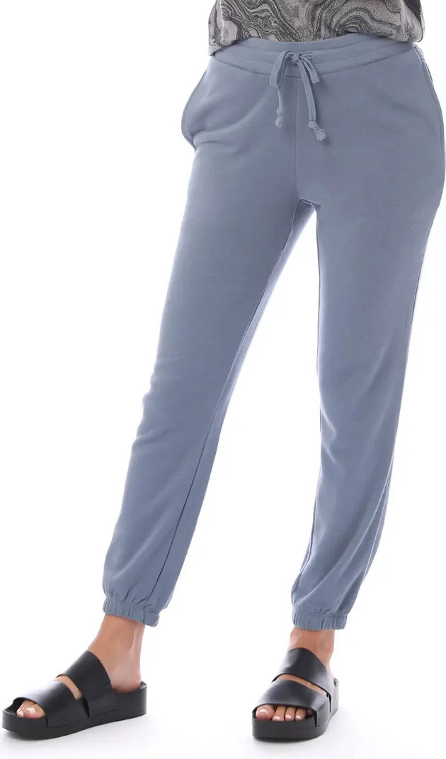 Washed Terry Classic Sweatpants | Nordstrom