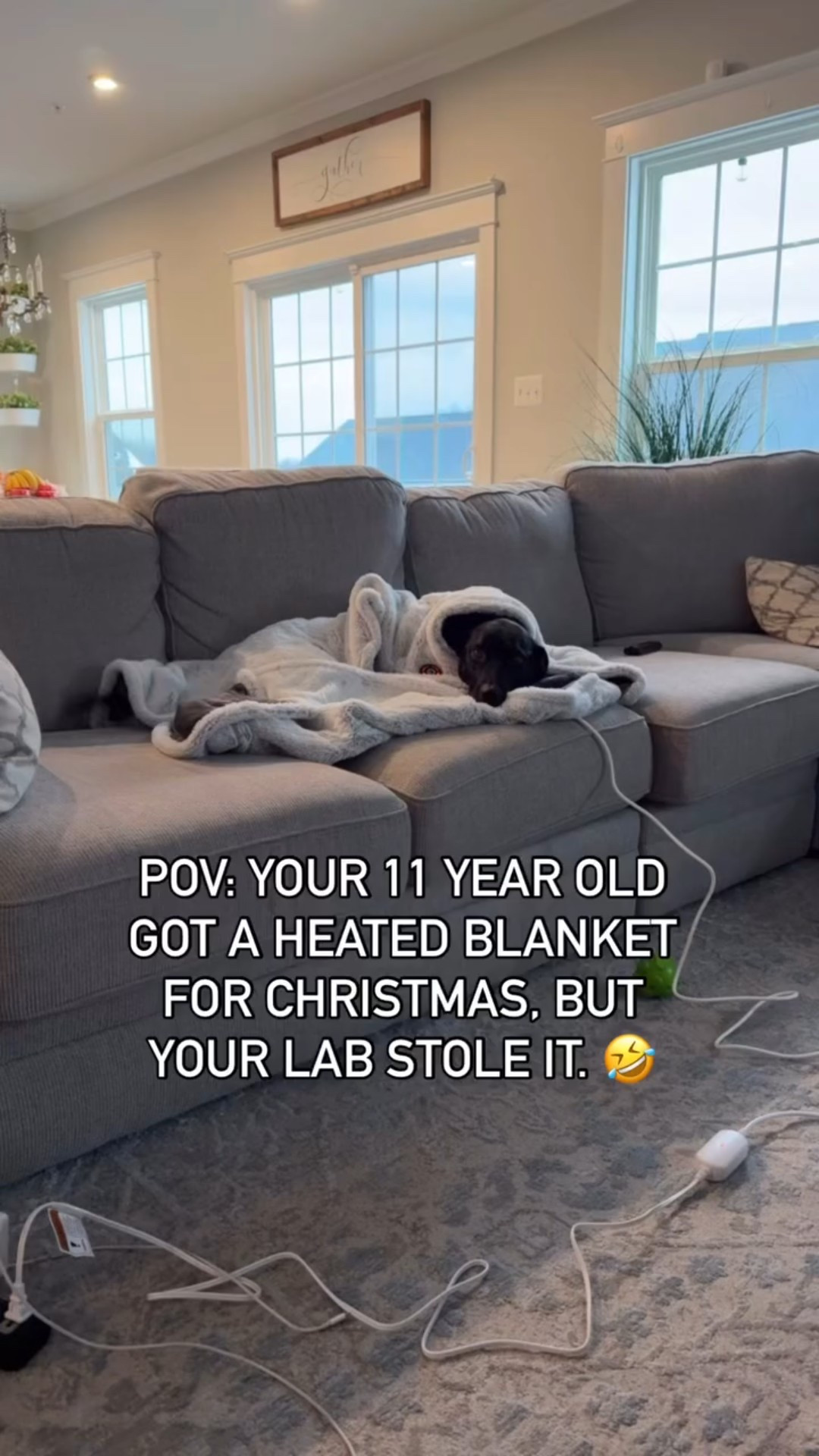 It’s FINALLY heated blanket season!!! And they’re on sale!!!! Emma swears by hers!! 🤣

#lab #lablove #labsofinstagram #blacklab #blacklabrador #emmathelab #heatedblanket

#LTKHome #LTKSeasonal #LTKFindsUnder50