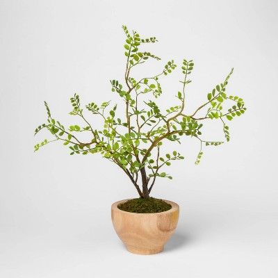 17&#34; x 12&#34; Artificial Sophora in Wooden Pot Natural - Threshold&#8482; | Target