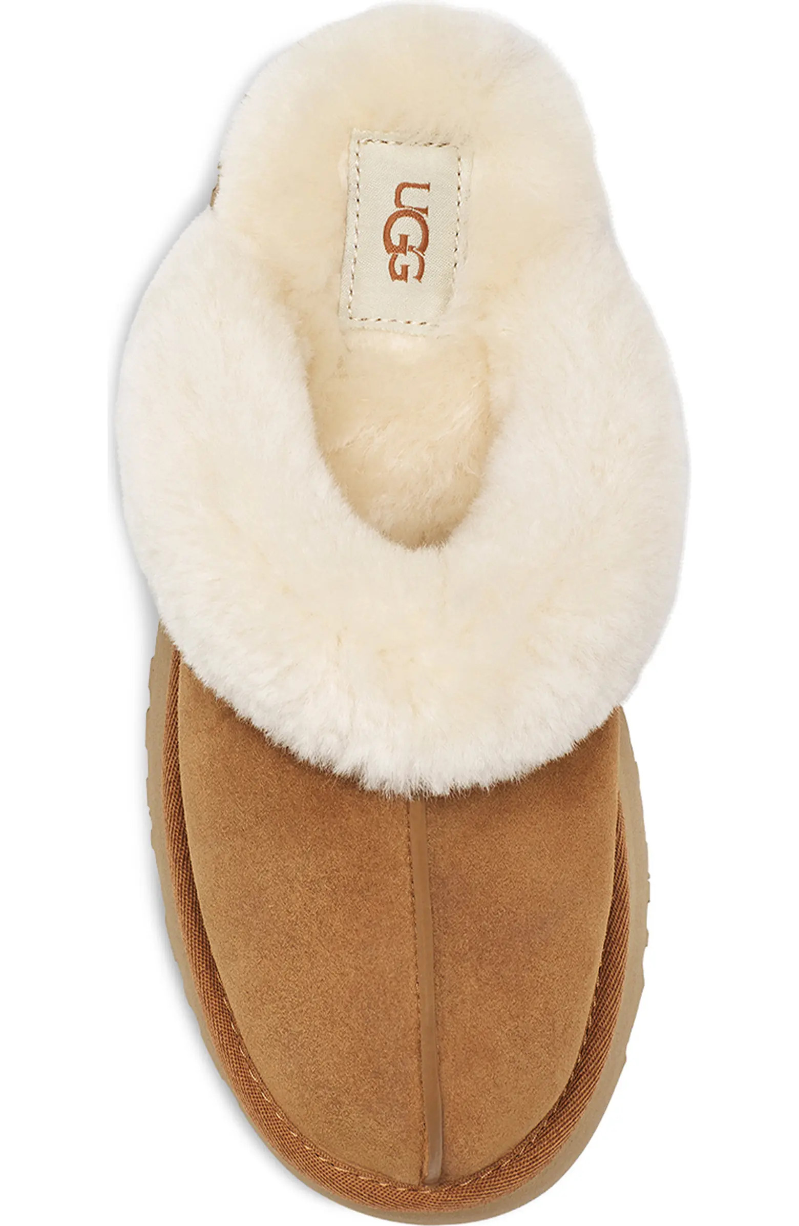 Disquette Slipper (Women) | Nordstrom