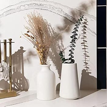 Chaumiere Set of 2- Classic White Ceramic Vases, Tall vases for Flowers, for Living Room Decorati... | Amazon (US)