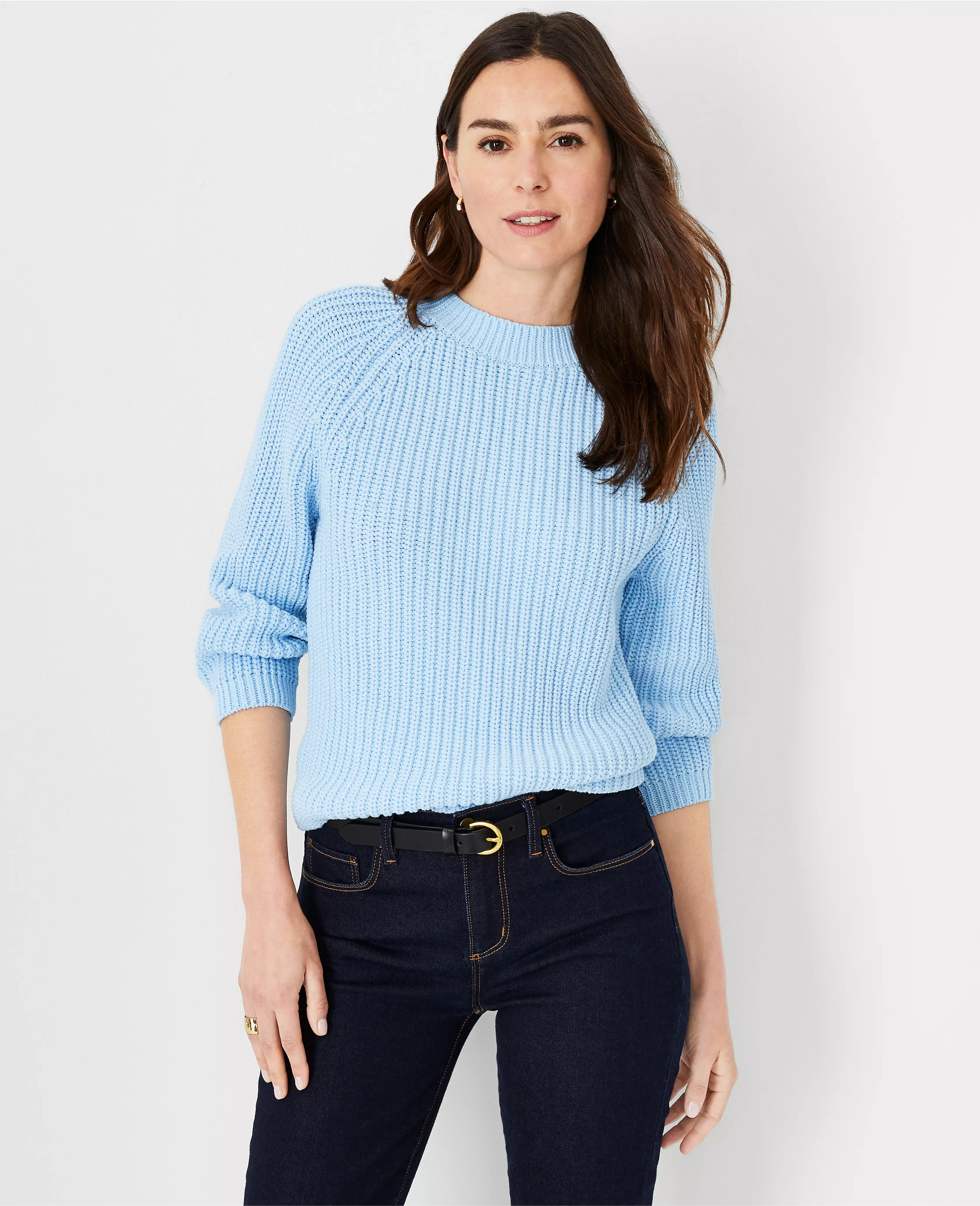 Texture Stitch Sweater | Ann Taylor (US)