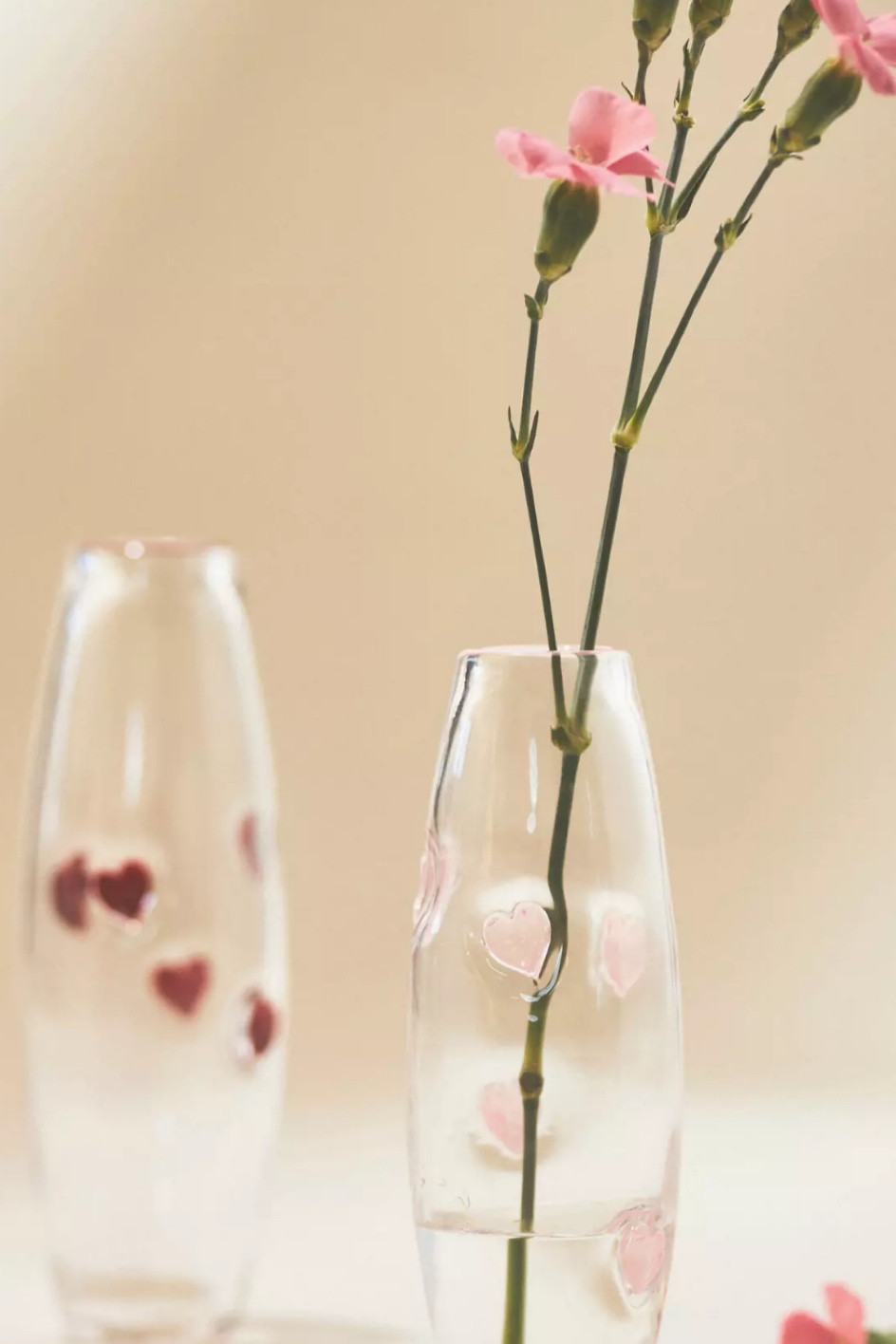 On sale! Perfect for future valentines days!! Such a beautiful vase 💕

#LTKhome #LTKsalealert #LTKSpringSale