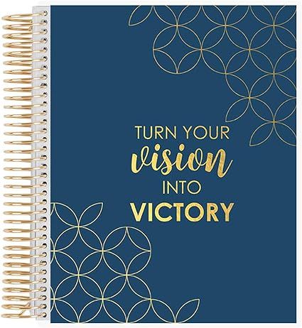 Erin Condren 7" x 9" Prompted Vision Journal - Sapphire Changeable Cover w/Gold Metallic Coil. Vi... | Amazon (US)