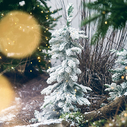 Faux Snowy Pre-lit LED Alpine Tabletop Tree | Terrain