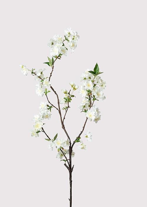 Cream White Artificial Cherry Blossom Branch - 36" | Amazon (US)