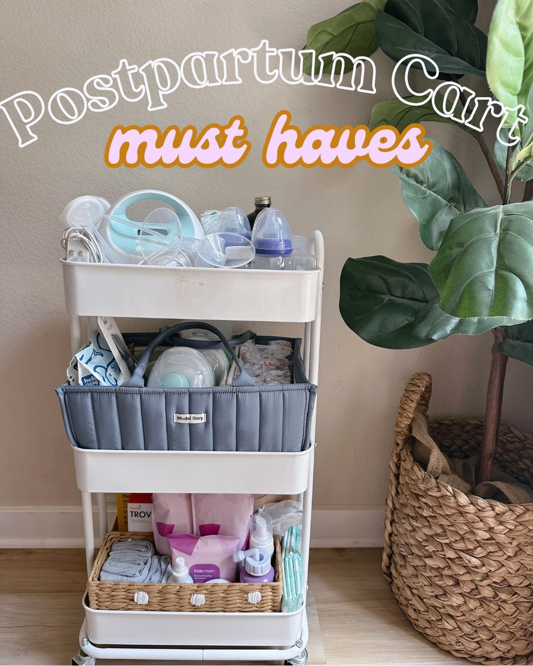 Postpartum cart must haves as a second time mom👶🏼🍼

#LTKBaby #LTKBump