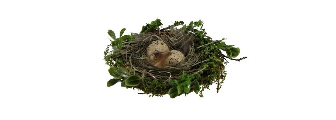 6" Decorative Bird Nest w/Eggs-Vine & Artificial Sweet Annie Fern-DIY Spring/Easter Decor-Floral ... | Etsy (US)