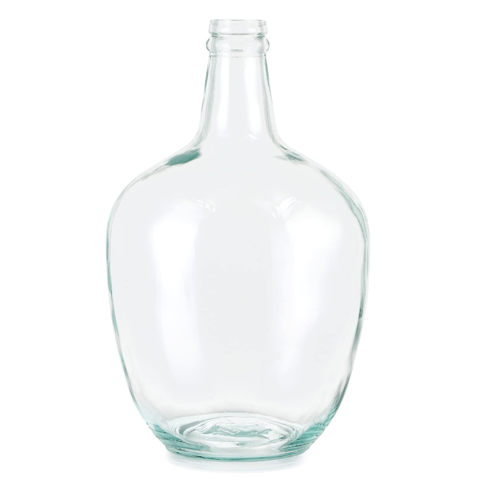 MDLUU Glass Jug Vase 10" Tall, Clear Flower Vase, Decorative Bottle Vase for Dining Room, Bedroom... | Amazon (US)