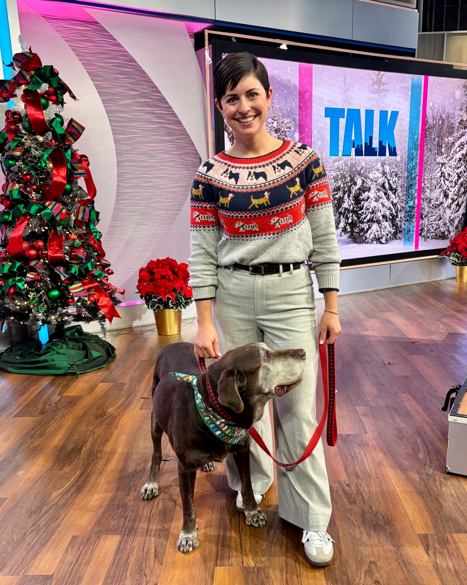 What I wore on air Friday Dec 5 with my dog Burt! 

#LTKdayinmylife