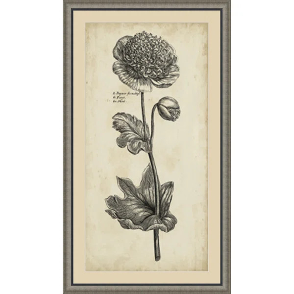 'Singular Beauty I' Framed Painting Print | Wayfair North America