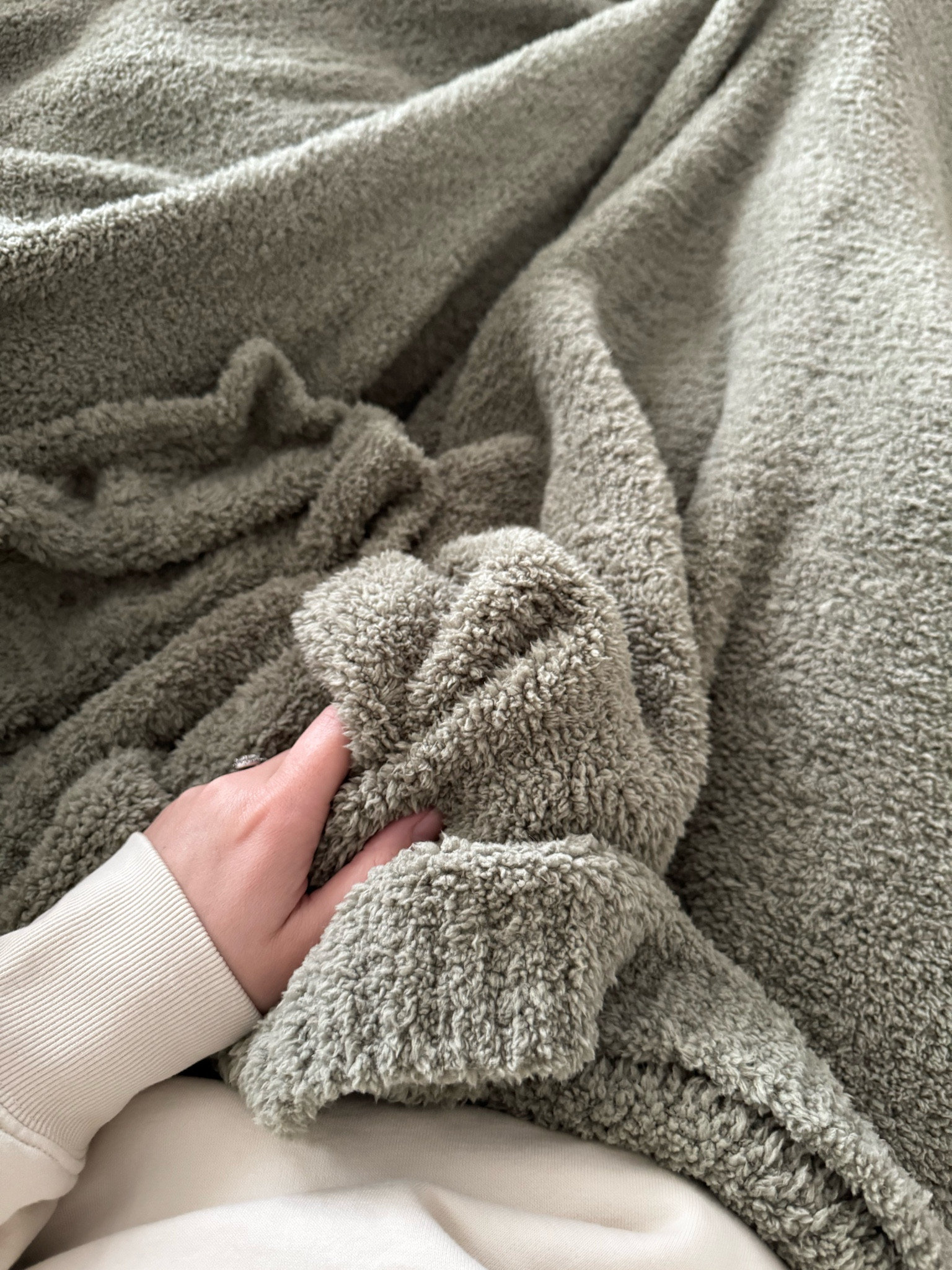 This blanket from target is literally what dreams are made of. Finally a size big enough for our entire bed & soft as a literal cloud. 

#LTKMostLoved #LTKhome #LTKfamily