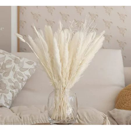 Natural Dried Pampas Grass for vase in Packaging Fall pompas | Walmart (US)