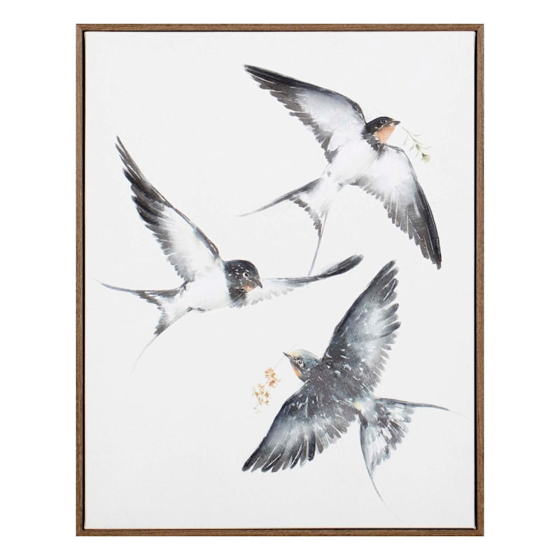 Framed Birds Canvas Wall Art, 16x20 | At Home