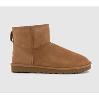 UGG Classic Mini Boots M Chestnut | OFFICE London (UK)