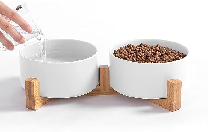 Ihoming Cat Bowls, Puppy Ceramic Food and Water Bowls Set, 1 3/4 Cups X 2, Indoors White Pet Bowl... | Amazon (US)