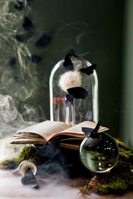 Glass Cloche with Distressed Wood Pedestal Base | Anthropologie (US)