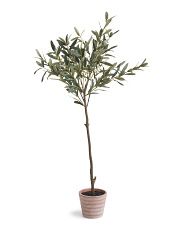 48in Outdoor Olive Tree | Marshalls