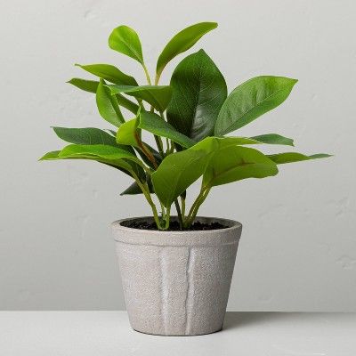 7" Mini Faux Azalea Potted Plant - Hearth & Hand™ with Magnolia | Target