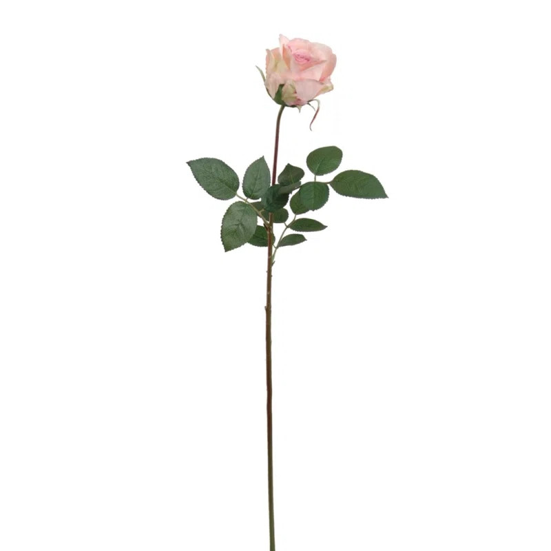 Roses Stems, Bushes, And Sprays Arrangement | Wayfair North America