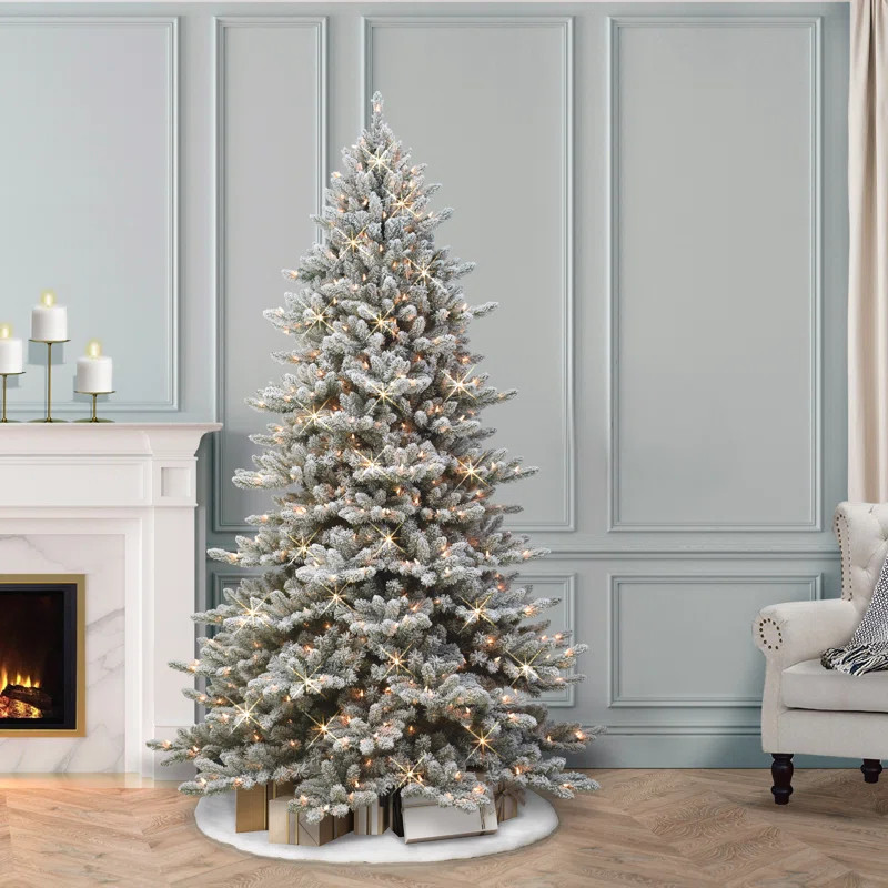 There’s nothing like a beautifully decorated Christmas tree to make your home feel warm and magical. ✨ Birch Lane has the prettiest classic and timeless Christmas trees that instantly create the cozy holiday vibe I've been dreaming of. From realistic flocked trees to full green evergreens, these finds are perfect for holiday decorating, family gatherings, and festive memories. ❤️🎄

#BirchLane #BirchLaneFinds #ChristmasTree #ChristmasDecor #HolidayDecor #ChristmasHome #ChristmasInspo #ChristmasDecorIdeas #HolidayHome #CozyChristmas #TraditionalChristmas #LuxuryChristmas #NeutralChristmas #FlockedTree #ArtificialChristmasTree #ChristmasAesthetic #HolidayInspiration #FestiveDecor #ChristmasLivingRoom #HolidayHosting #ChristmasMagic #WinterDecor #SeasonalDecor #HomeDecor #ClassicChristmas #FarmhouseChristmas #MinimalChristmas #ElegantChristmas #ChristmasShopping #HolidayStyle #Christmas2026 #MerryChristmas #HolidaySeason #CozyHome #ChristmasFinds #InteriorInspo #HolidayVibes #DeckTheHalls #ChristmasDecorating #HomeInspiration 

 #LTKSeasonal #LTKHome #LTKSaleAlert