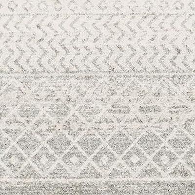 Traditional Area Rug. Light Gray, Medium Gray, White 5'3" x 7'6" | Amazon (US)