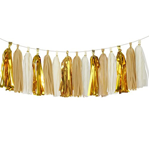 Aonor Shiny Tassel Garland Tissue Paper Tassels Banner Decoration for Birthday Party, Bridal Show... | Amazon (US)