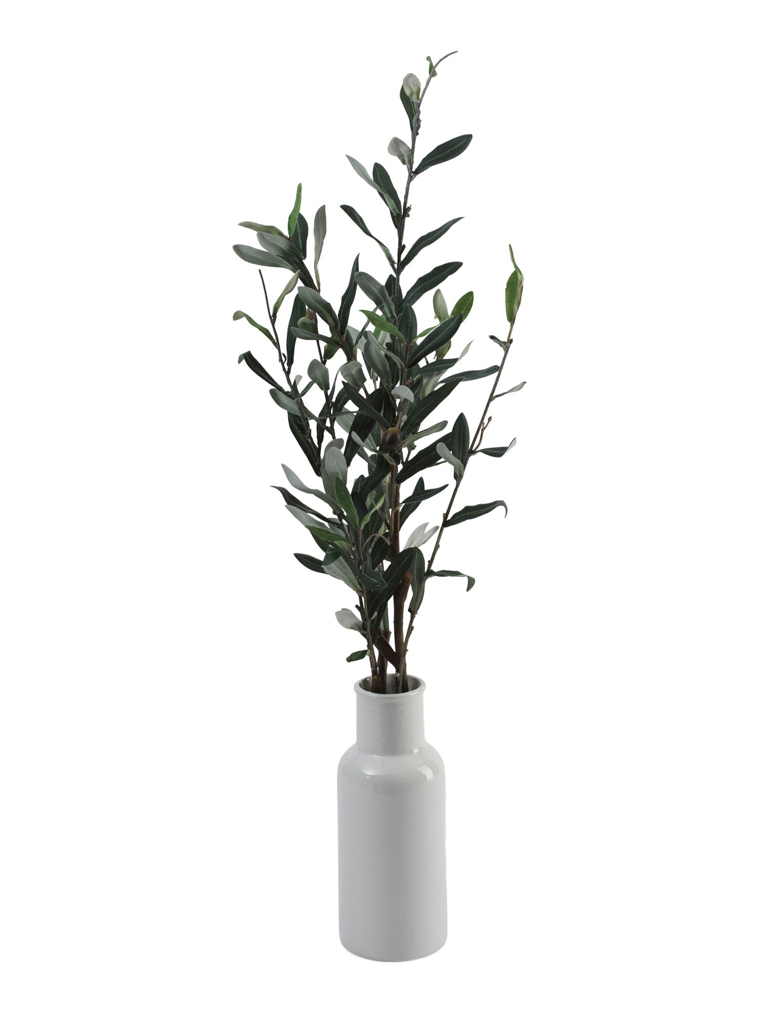 31in Olive Branch In Matte Ceramic Vase | TJ Maxx