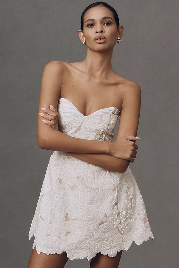 BHLDN Strapless Velvet Mini Dress | Anthropologie (US)