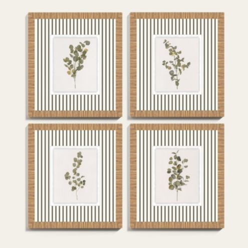 Lovely Eucalyptus Art | Ballard Designs, Inc.