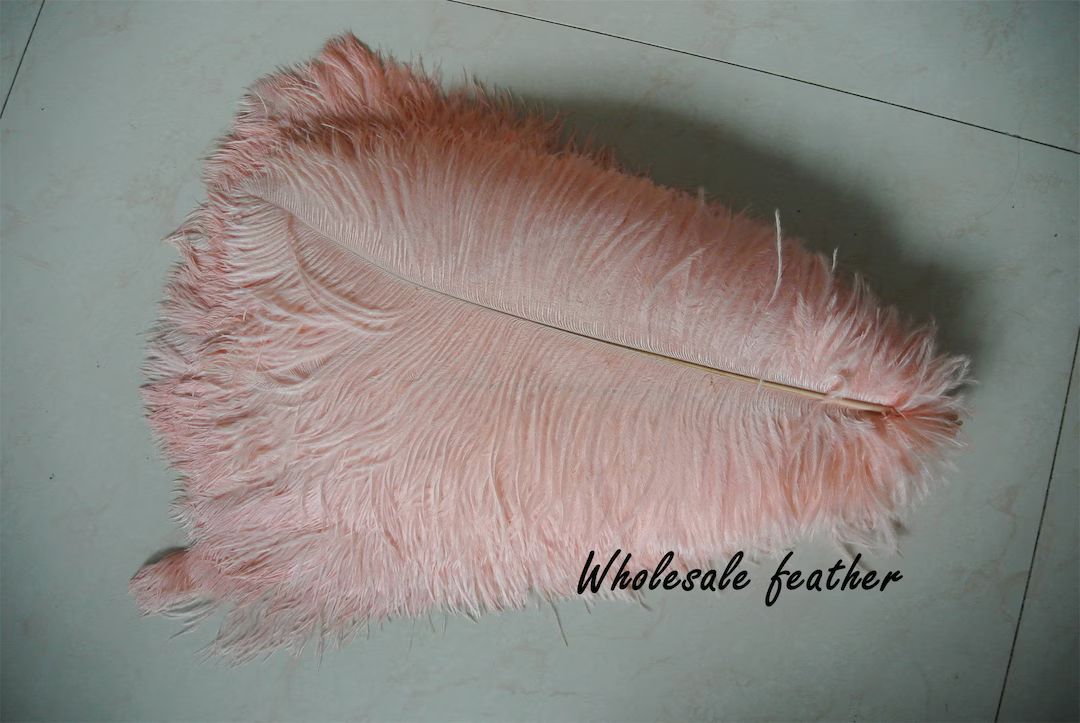 100 Pcs Blush Pink Light Pink Ostrich Feather Plumes for - Etsy | Etsy (US)