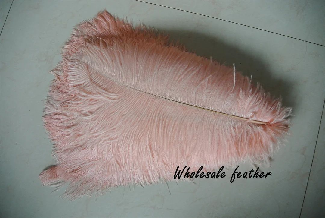100 Pcs Blush Pink Light Pink Ostrich Feather Plumes for - Etsy | Etsy (US)