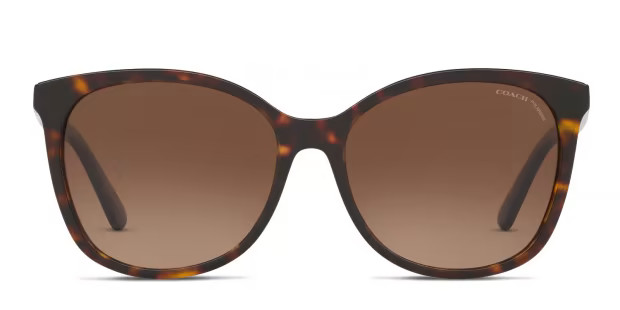 Coach HC8271U Brown , Tortoise | GlassesUSA