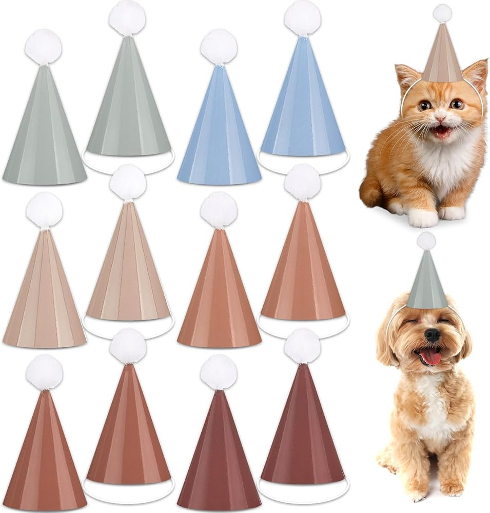 48Pcs Mini Boho Birthday Party Hats for Stuffed Animals 5Inch Adjustable Cone Caps with DIY Pom P... | Amazon (US)
