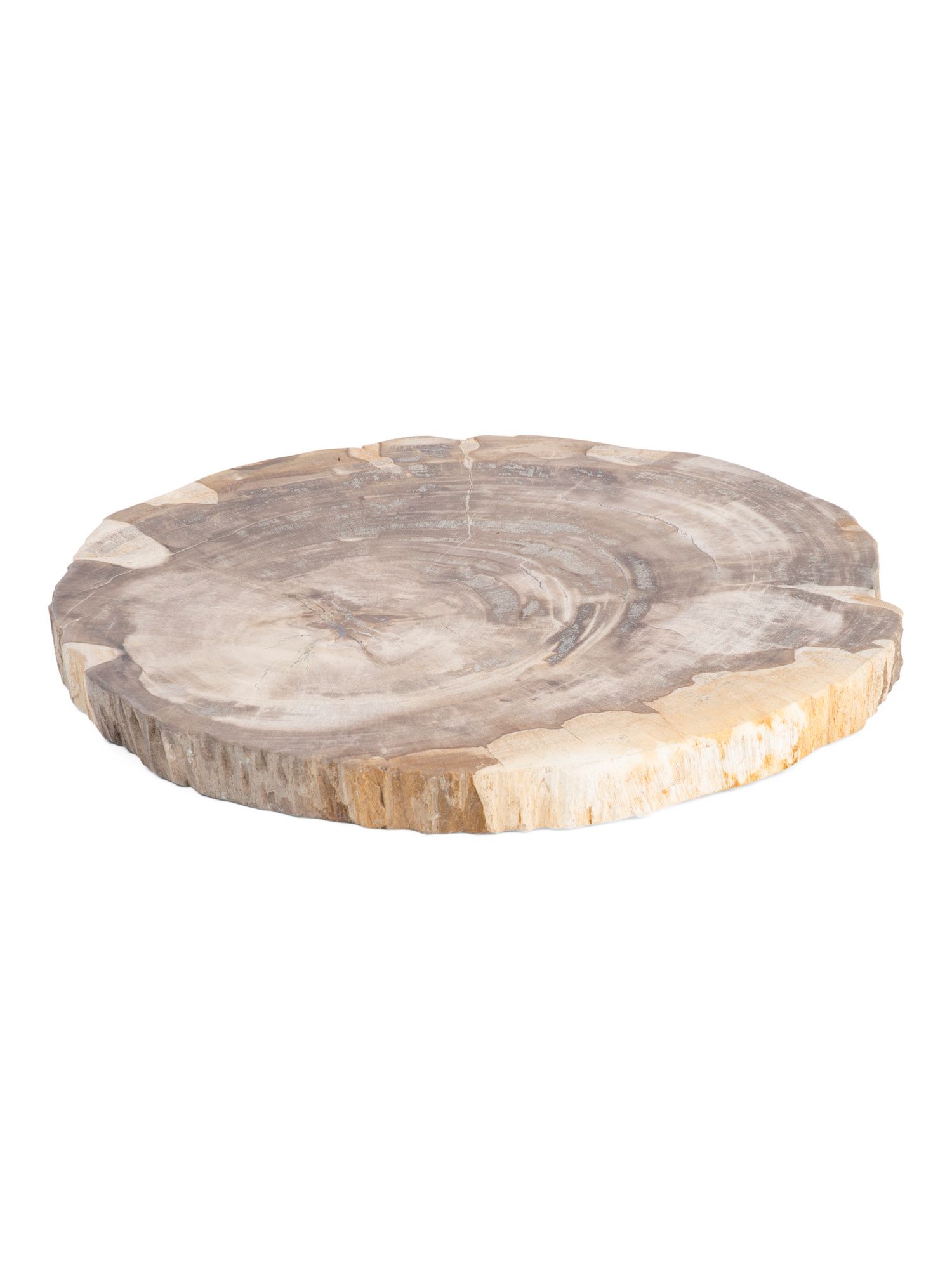 12in Petrified Wood Platter | Marshalls