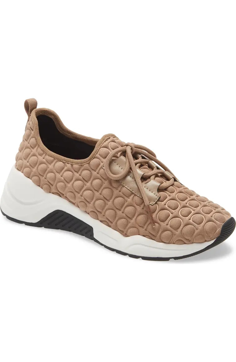 Rodger Sneaker | Nordstrom