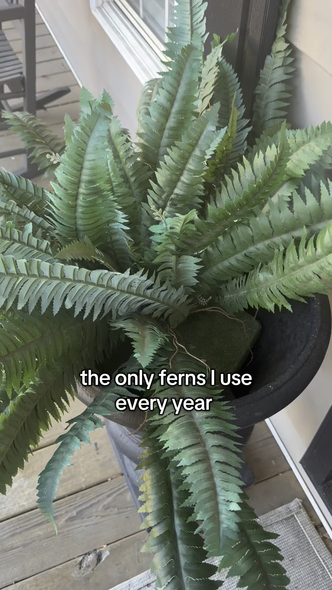 #fauxplants #fauxferns #bostonferns #porchdecor

#LTKHome #LTKSeasonal #LTKSaleAlert