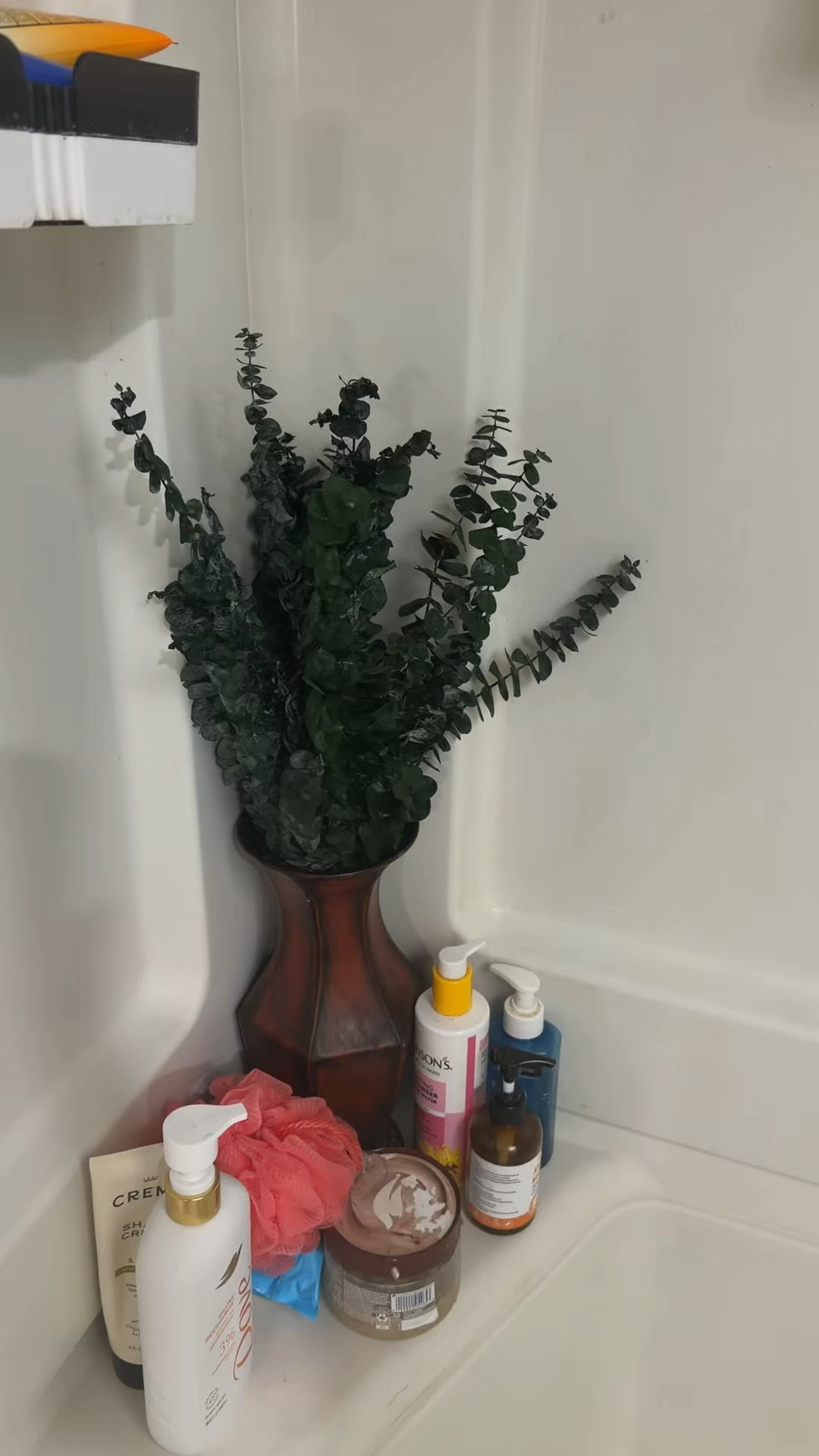 Eucalyptus in My Shower 🌿🚿 This Changed My Whole Routine! You do NOT have to spend a lot to feel this refreshed… 🌿🚿✨
I hang real dried eucalyptus stems in my shower and the steam releases a clean, spa-like scent that makes my routine feel so calming and elevated.

It’s not just about decor — it’s about creating a moment for yourself. Soft skin, relaxed mind, and a little everyday luxury right at home.

Shop here 👉 https://www.shopltk.com/explore/nothinglikesweet_t

#LTKmorningroutine #LTKselfcare #LTKgrwm