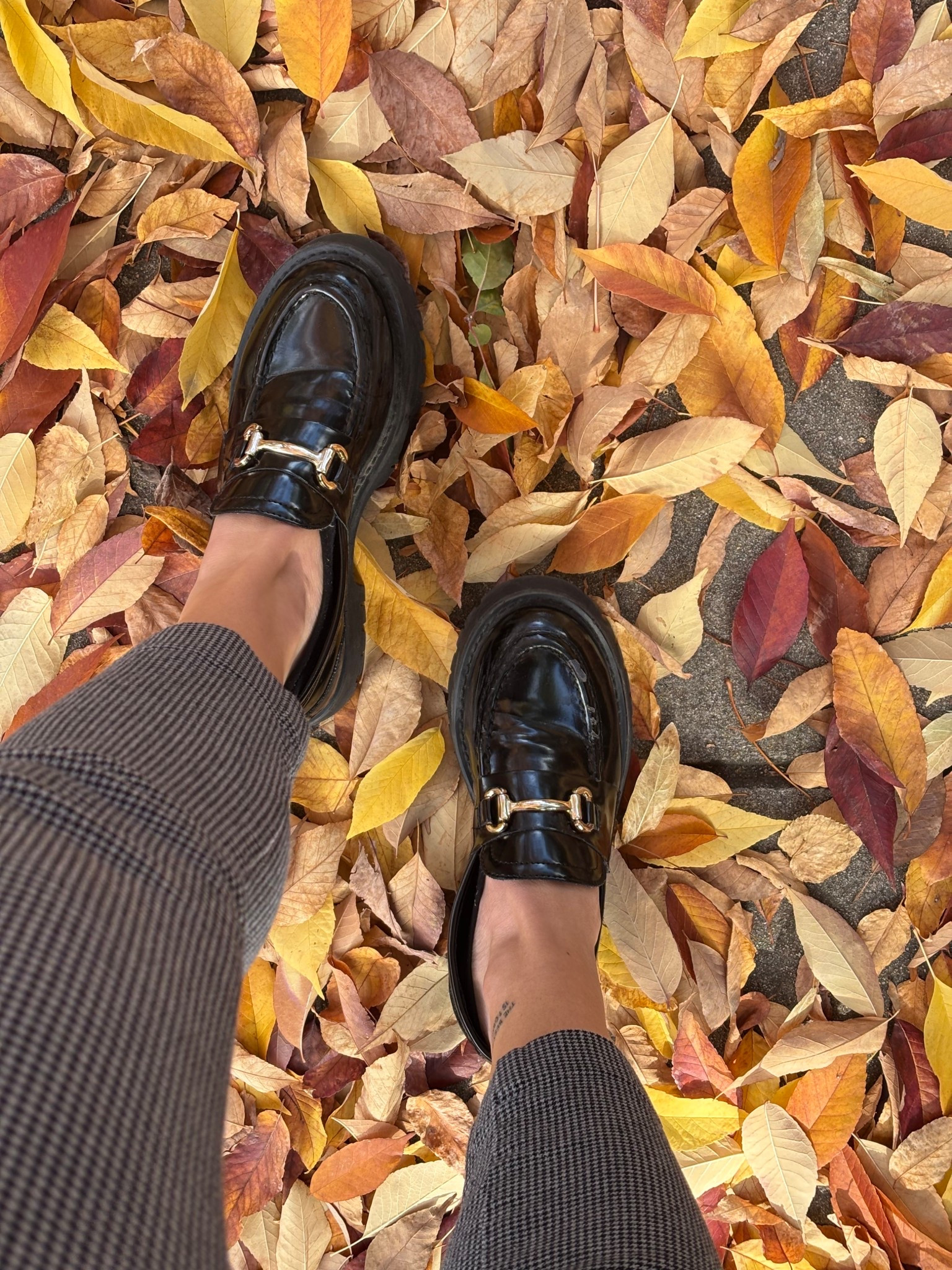 Tried and true loafers!