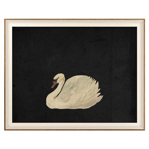 VIYYIEA Framed Wall Art for Living Room, Swan Art Canvas Prints, Vintage Home Decor, Animals Painting Picture, Bathroom Wall Decor Gifts for Friends or Family - 20L x 16W | Amazon (US)