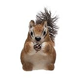 Creative Co-Op 7-3/4"L x 3-1/2"W x 5-3/4"H Faux & Sisal Sitting Chipmunk w/Acorn, Brown Figures a... | Amazon (US)