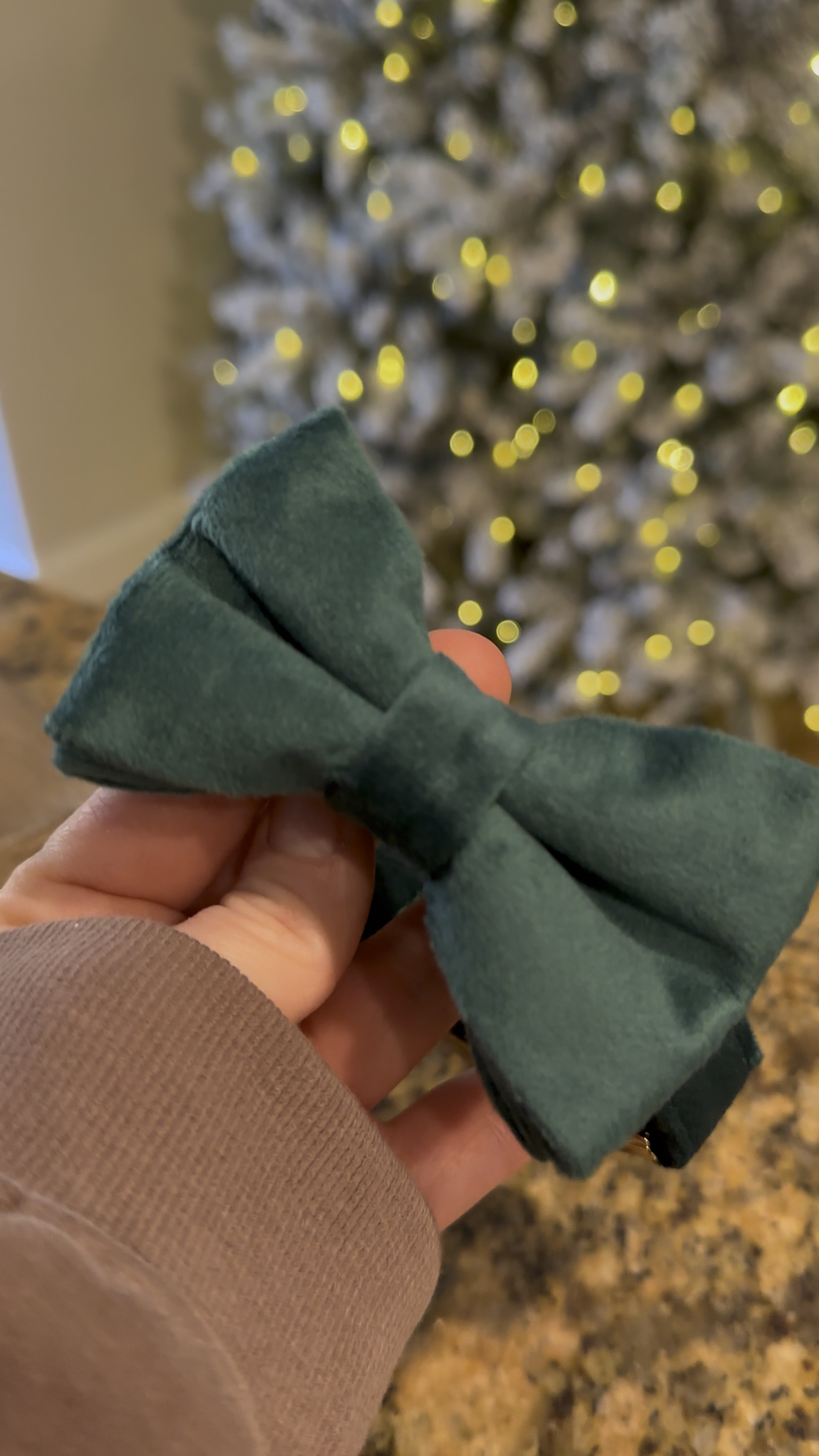 Christmas dog collar engraved ! 

#LTKGiftGuide #LTKVideo #LTKHoliday