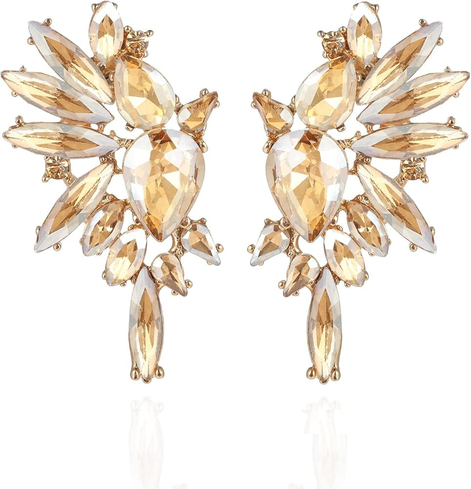 Vintage Rhinestone Statement Earrings Retro Big Cluster Crystal Drop Dangle Earrings for Women Gi... | Amazon (US)