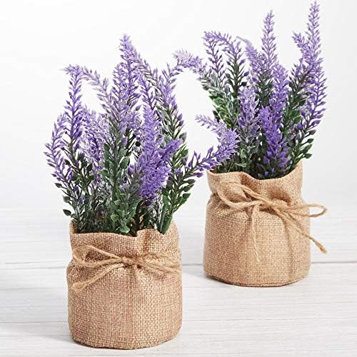 LUEUR Artificial Lavender Potted Flowers, 2 Pack Fake Potted Lavender Flower for Table Decoration... | Amazon (US)
