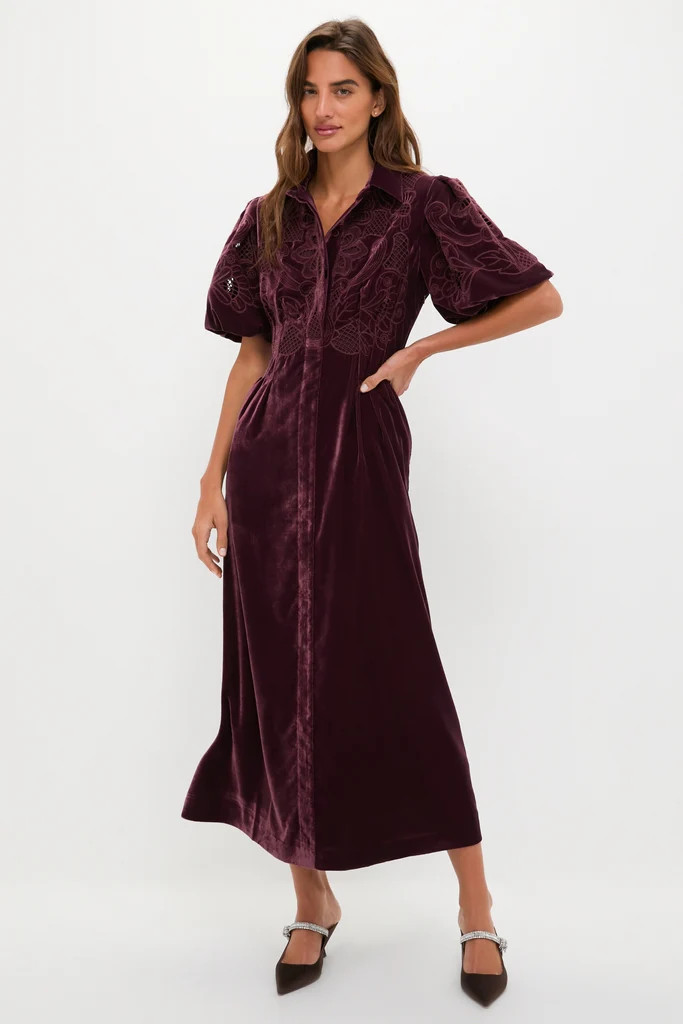 Winetasting Velvet Lace Delaney Dress | Tuckernuck (US)