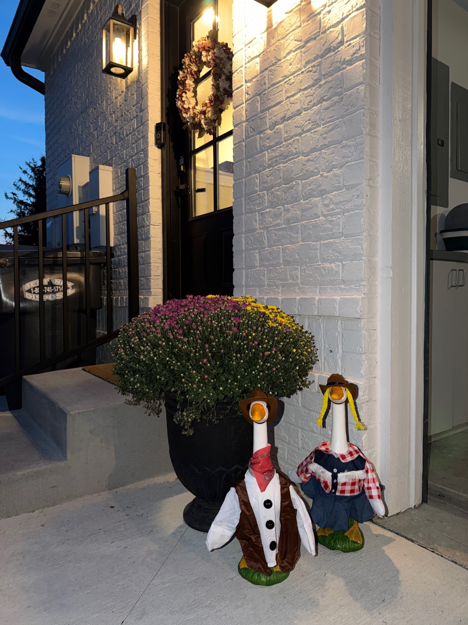 Porch geese have officially entered the chat 💛

#LTKmomlife #LTKSeasonal #LTKHome